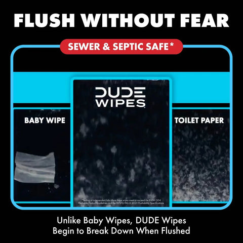 Dude Wipes Poopsicle Flushable Extra-Large Ice Pop Scented Wet Personal Wipes - 144ct
