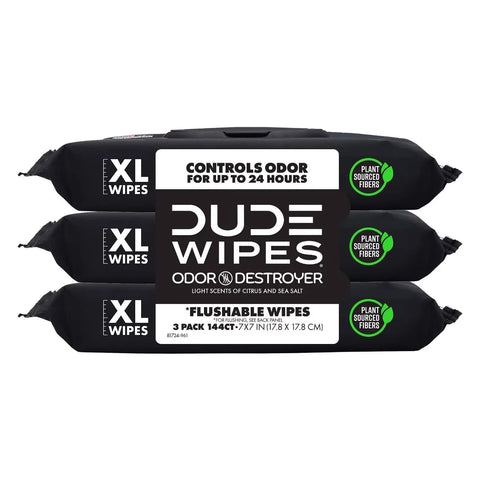 Dude Wipes Odor Destroyer Flushable Extra-Large Odor Neutralizing Wet Personal Wipes - 144ct