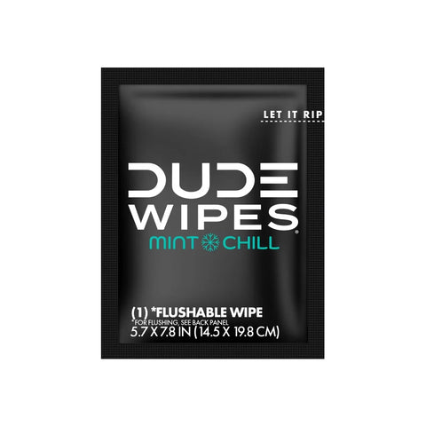 Dude Wipes Mint Chill On-The-Go Flushable Individually Wrapped Wet Wipes - Travel Size - 30ct: Aloe, Vitamin E, Dye-Free, Eucalyptus Scented