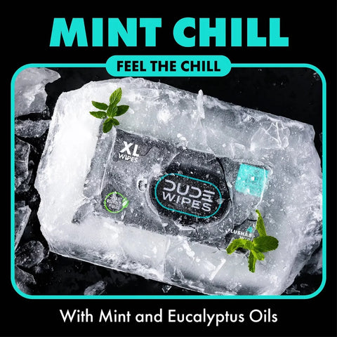 Dude Wipes Mint Chill Infused with  Tea Tree Oil Flushable Wet Wipes - Extra Large - 48ct: Whole Body Use, Contains Aloe, Contains Vitamin E, Dye-Free