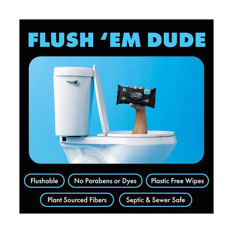 Dude Wipes Fragrance-Free Individually Wrapped Flushable Wet Wipes for Sensitive Skin - Extra Large - 48ct: Contains Aloe, Vitamin E, Hypoallergenic