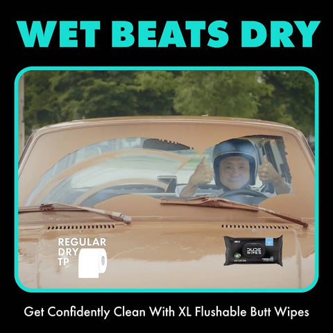 Dude Wipes Mint Chill On-The-Go Flushable Individually Wrapped Wet Wipes - Travel Size - 30ct: Aloe, Vitamin E, Dye-Free, Eucalyptus Scented