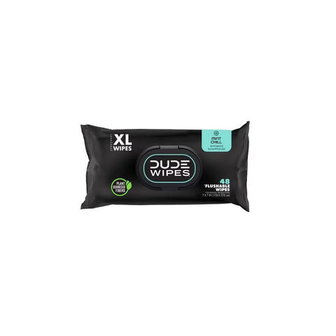 Dude Wipes Mint Chill Infused with  Tea Tree Oil Flushable Wet Wipes - Extra Large - 48ct: Whole Body Use, Contains Aloe, Contains Vitamin E, Dye-Free