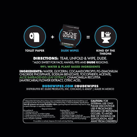 Dude Wipes Mint Chill On-The-Go Flushable Individually Wrapped Wet Wipes - Travel Size - 30ct: Aloe, Vitamin E, Dye-Free, Eucalyptus Scented