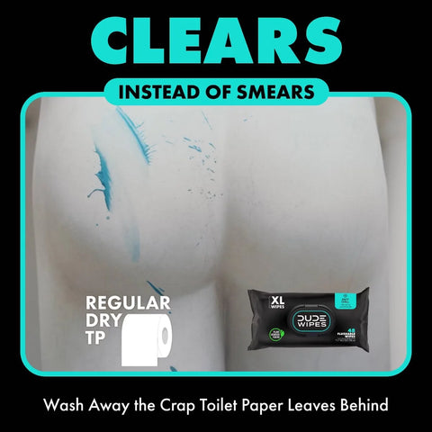 Dude Wipes Mint Chill On-The-Go Flushable Individually Wrapped Wet Wipes - Travel Size - 30ct: Aloe, Vitamin E, Dye-Free, Eucalyptus Scented