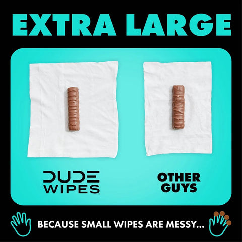 Dude Wipes Mint Chill Infused with  Tea Tree Oil Flushable Wet Wipes - Extra Large - 48ct: Whole Body Use, Contains Aloe, Contains Vitamin E, Dye-Free
